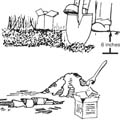 Sketch instructions for taking a soil sample